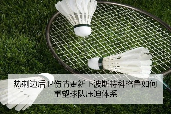img_1783248071719_1839_1_530.jpg